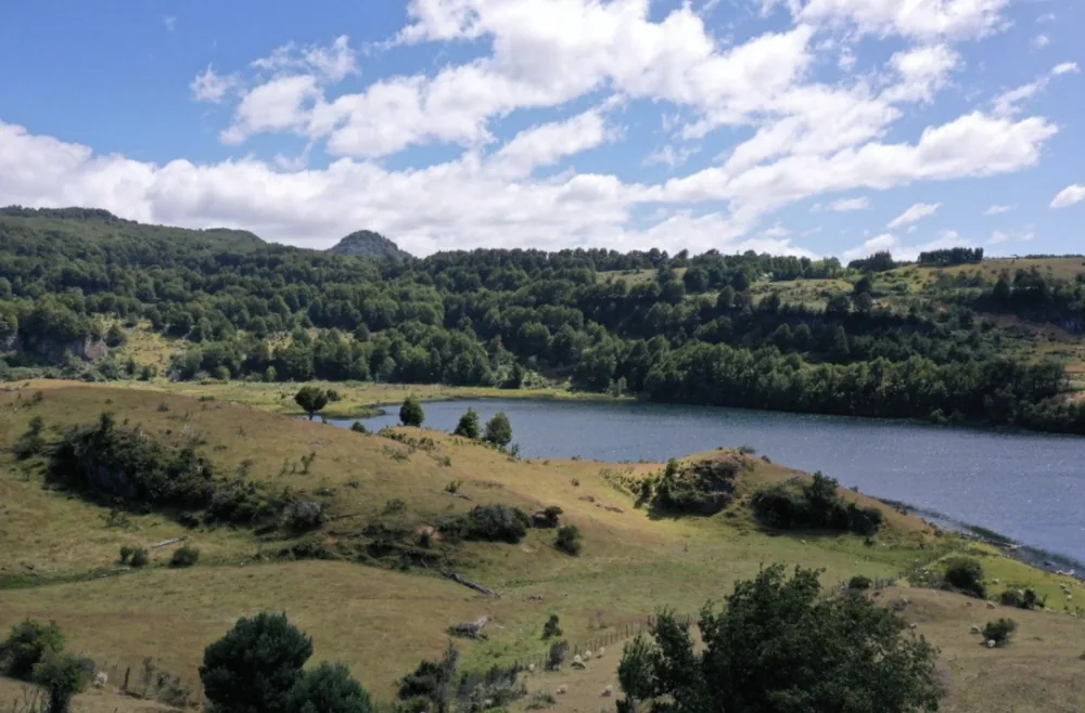 Paisaje de lagos y bosques de la Patagonia